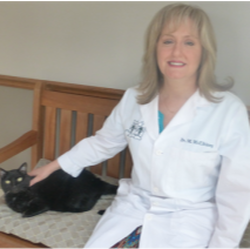 Dr. Maureen McElhinny, VMD, veterinarian, practice owner
